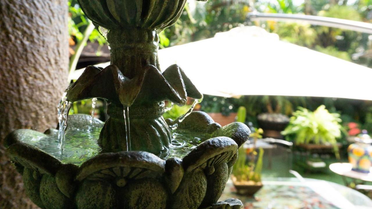 El Jardin Del Eden B&B Boutique Cuernavaca Luaran gambar